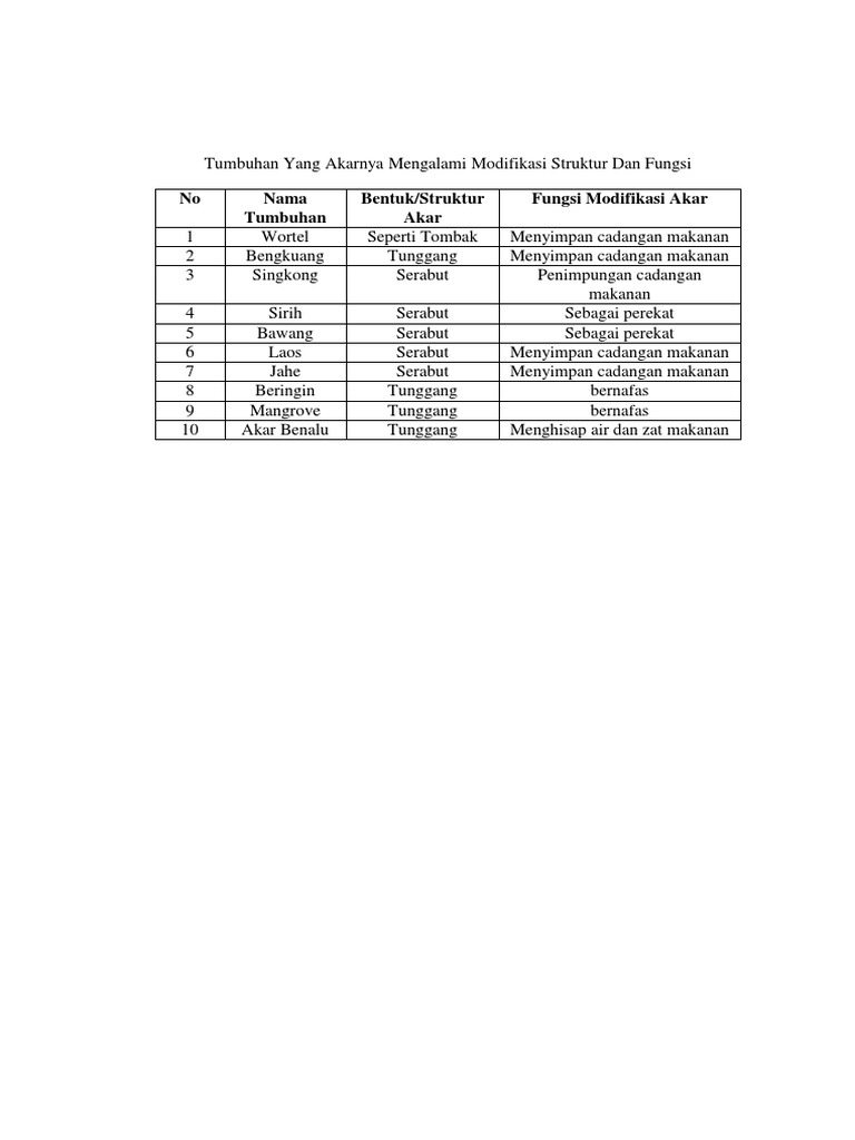 47+ Modifikasi Akar Background
