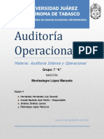 Auditoría Operacional PDF