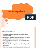 5.1. Hematologi