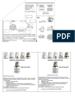 Actividad Cadenas Alimentarias.