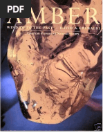 Download Amber Window to the Past by horianamaria SN38834234 doc pdf