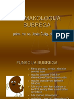 D8Qbb9d6IX-Farmakologija Bubrega