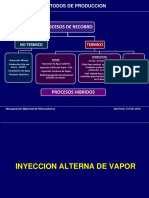 Inyeccion Alterna Vapor