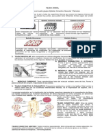 GUIA TEJIDO ANIMAL septimo (1).pdf