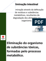 11ª AULA ELIMINAÇÃO INTESTINAL.pdf
