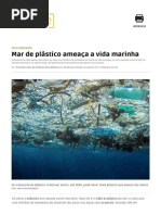 Mar de Plástico Ameaça a Vida Marinha