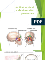 Sinusurile Paranasale