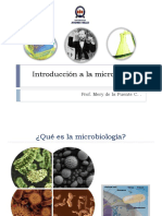 Micro PDF
