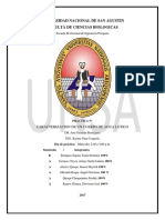 11 Evaluacion de Un Circuito de Molienda y Clasificacion