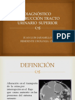 Uropatía Obstructiva Alta