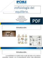 Neurofisiologia Equilbrio (Autoguardado)