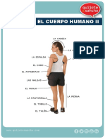 Cuerpo Humano2