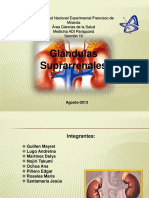 diapositivas-glandulas-suprarrenales