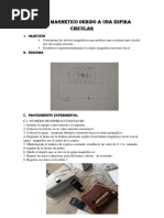 Campo Magnetico Informe 13