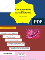Filum Apicomplexa Dan Filum Microspora