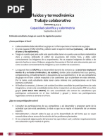 Trabajo Colaborativo Calorimetria