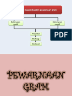 Pewarnaan Gram Menurut Preston Dan Morrel