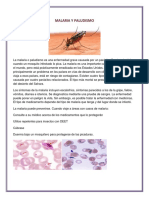 MALARIA Y PALUDISMO.docx