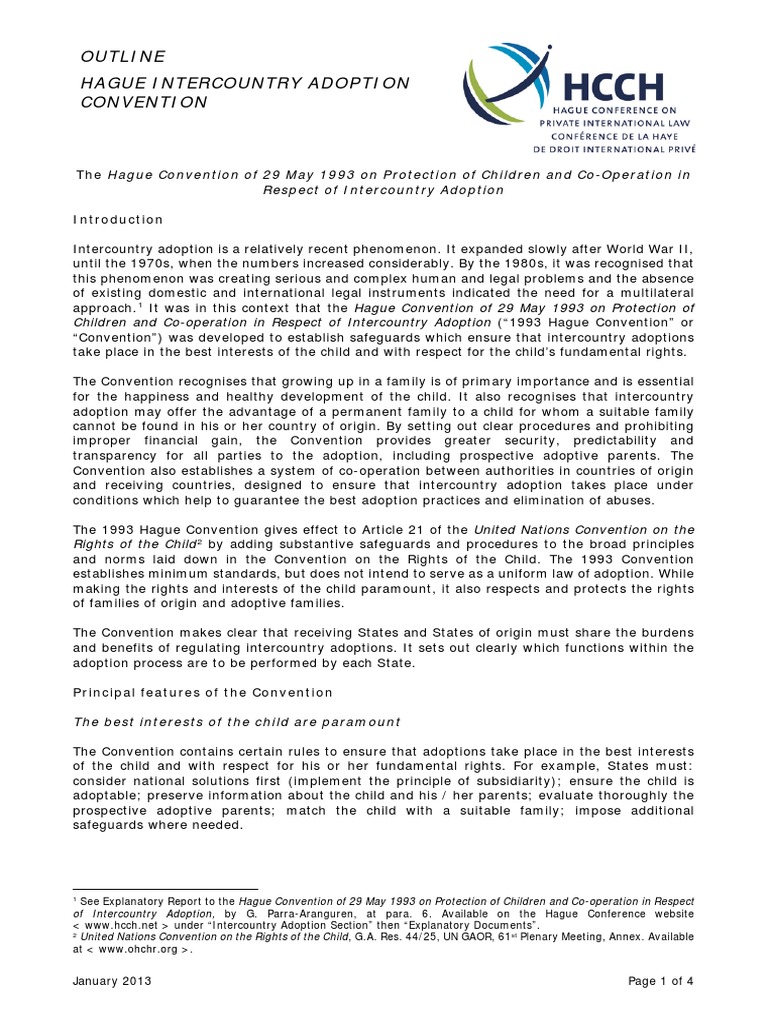 Outline Hague Intercountry Adoption Convention | PDF | Best Interests
