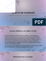 Trabajo de Naturales