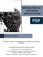 Fisiologia - 21 - Glândula Adrenal