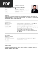 CURRICULUM VITAE ORIGINAL.docx