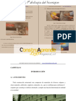 303548391-Tesis-Patologia-Del-Hormigon.pdf