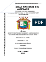 Universidad Nacional Del Altiplano: Facultad de Ciencias Agrarias Escuela Profecional de Ing - Topografica Y Agrimensura