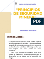 Principios de Seguridad Minera