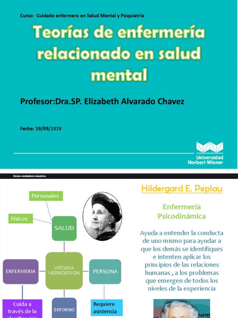 Que es una teoria en enfermeria_teoria_online