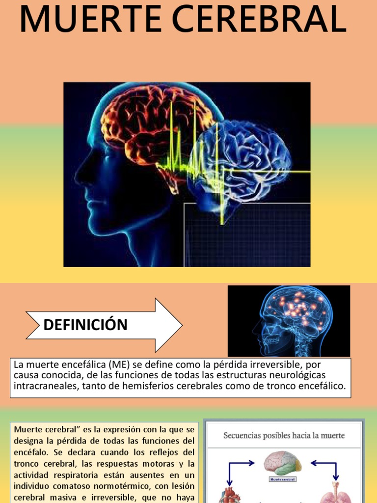 Definición y diagnóstico de muerte cerebral | PDF | Cerebro | Carrera