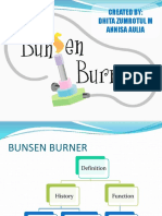 Bunsen New