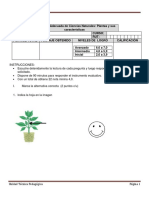 Evaluación Plantas Frutos y Semillas Adecuada Llisa