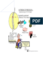 Autonomic Dysreflexia PDF