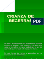 Crianza de Becerras