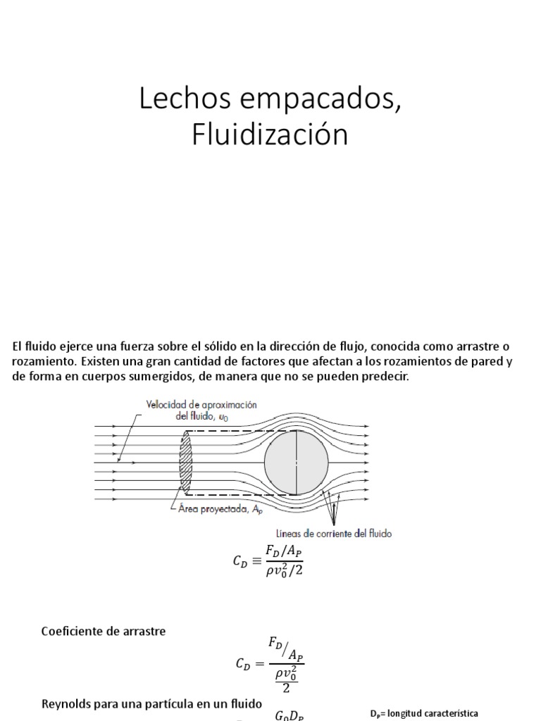 Lechos PDF | PDF | Mecánica de Medios Continuos | Líquidos