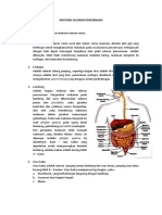 ANATOMI SALURAN PENCERNAAN