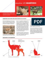 mamiferos museo de historia natural.pdf