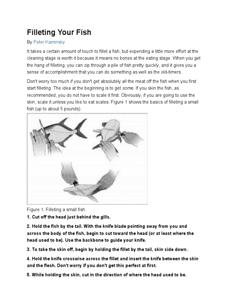 Fish Filleting for Beginners | PDF | Cooking, Food & Wine | Home & Garden