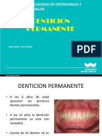 Denticion Permanente Clase 7 PDF