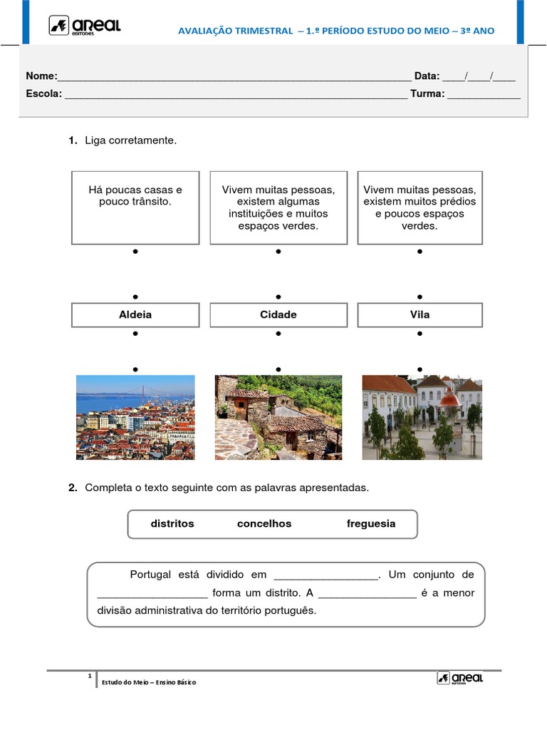 3º Ano Estudo Do Meio 1º Período Pdf Sistema Circulatório Sangue