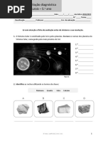 Ficha Avaliacao Diagnostica 100VIDA 5ano