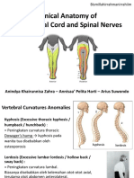 Clinical Anatomy of Back, Spinal Cord and Spinal Nerves