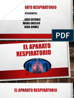 El Aparato Respiratorio