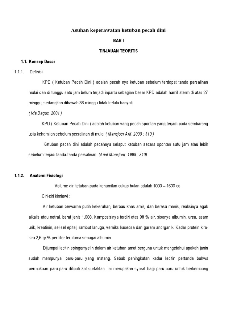 Asuhan Keperawatan Ketuban Pecah Dinidocx