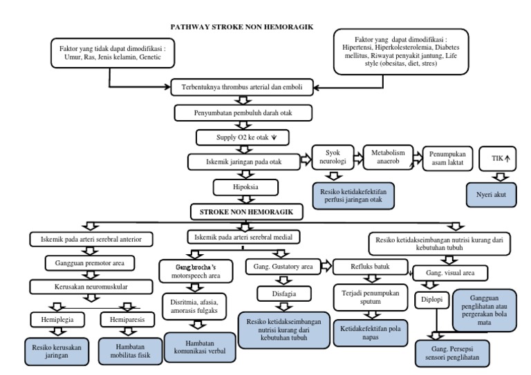 Non-Hemorrhagic Stroke Pathway | PDF