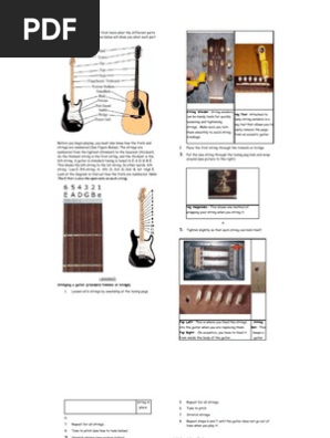 Guitar