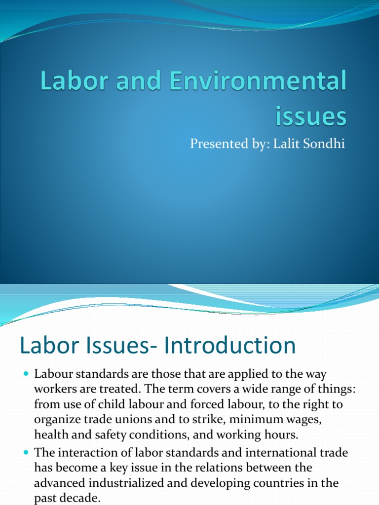 Labor and Environmental Standards Overview | PDF | Labor Rights | Trade ...