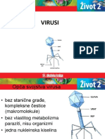 325983759-ostalo-3-virusi
