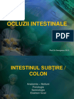 Ocluzii Intedtinale